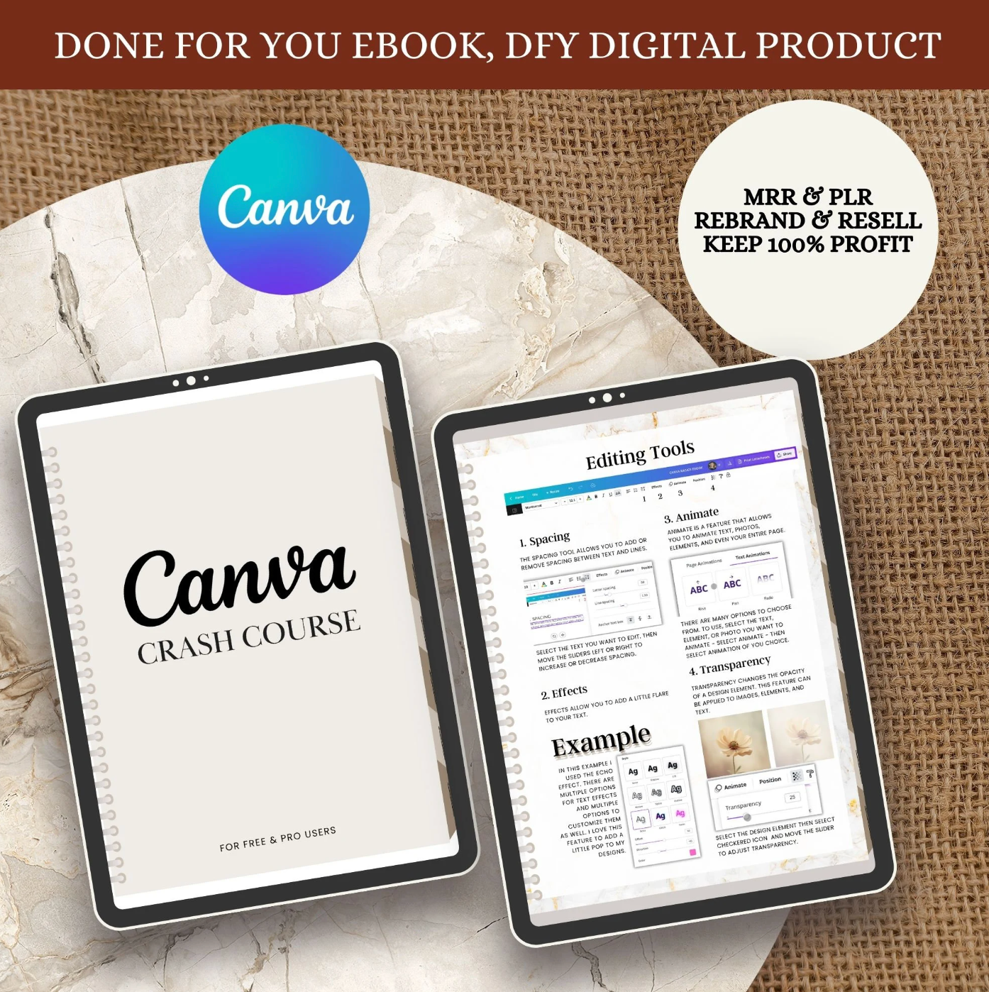 Editable Canva Course Templates | Learn Canva Fast | Training Video & Templates Included